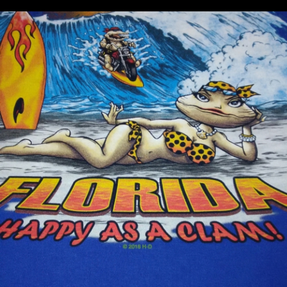 HARLEY DAVIDSON 2018 PANAMA CITY BEACH FLORIDA